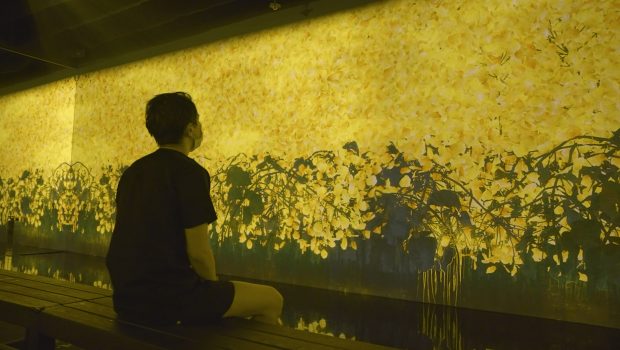 Enjoy a Sauna and Dazzling Art in the Heart of Tokyo - TikTok teamLab ...