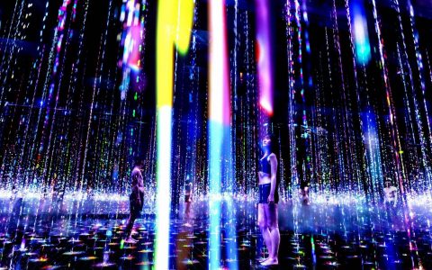 Enjoy a Sauna and Digital Art in the Heart of Tokyo – TikTok teamLab Reconnect