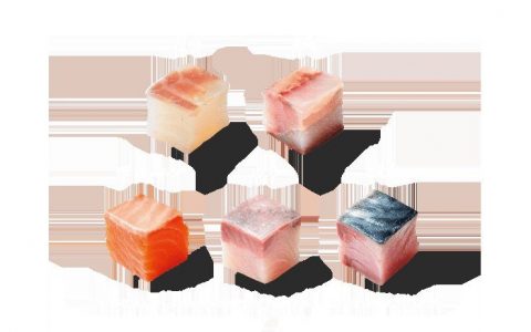 Japanese Apply Famous Kaizen Process to Produce Square Fish