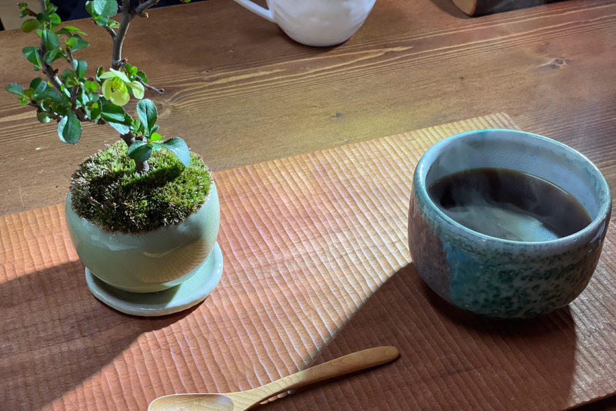 The Coffee Shop in Japan that Serves Your Coffee with a Bonsai Tree ...