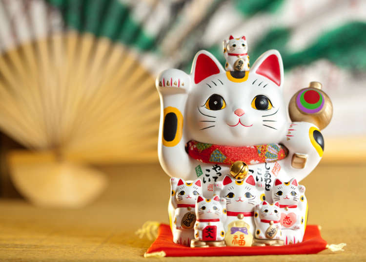 Top Ten Most Popular Cats in Japan