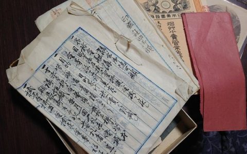 Meiji Era Vaccine Passport