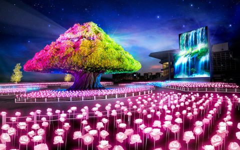 Tokyo Mega Illumination – Tokyo’s Number One Light Show