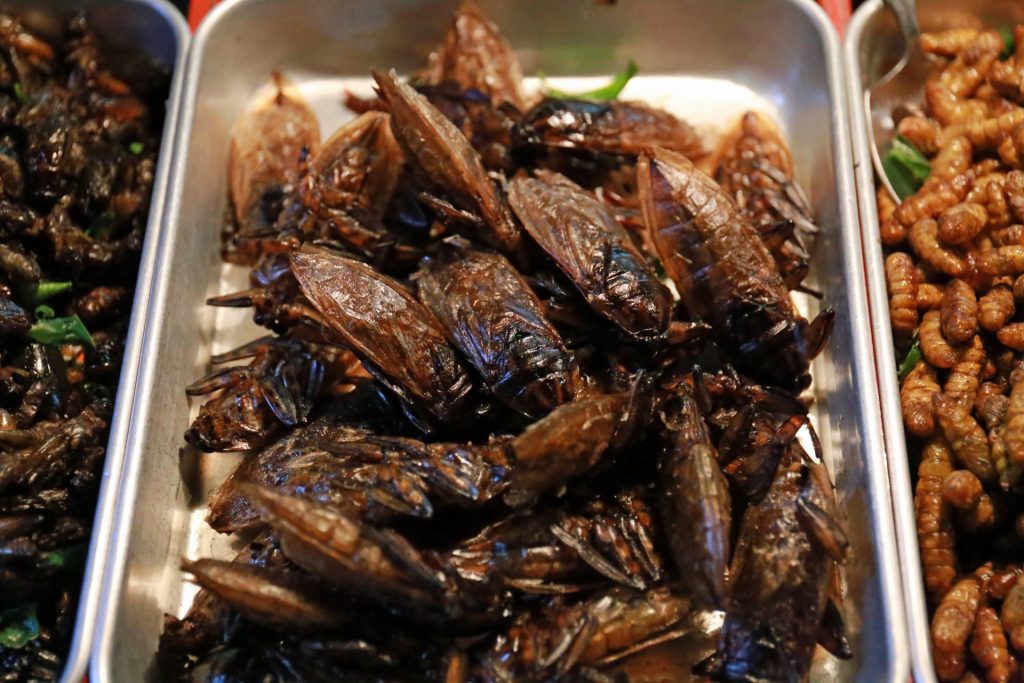 Fried giant water beetles