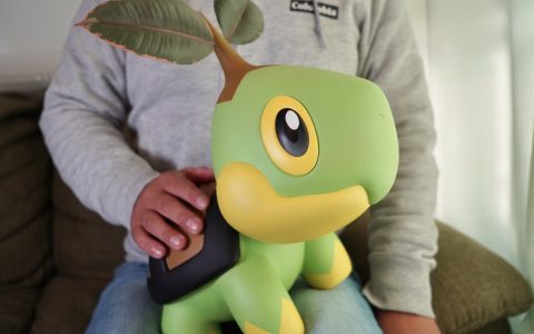 clay pokemon
