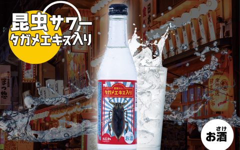 Insect Sour from Bugs Farm