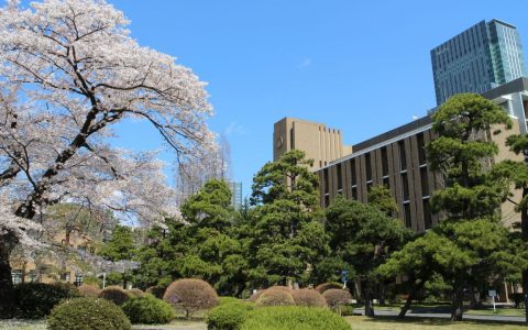 Japan’s Top 20 Universities in 2023 (THE)