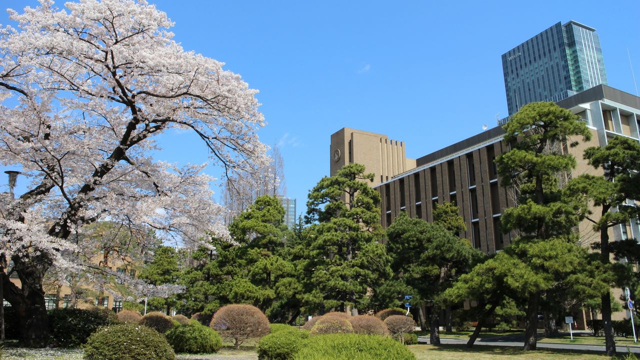 Japan's Top 20 Universities in 2023 (THE) - Japan Insider